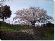 水の科学博物館の奧平野舞桜