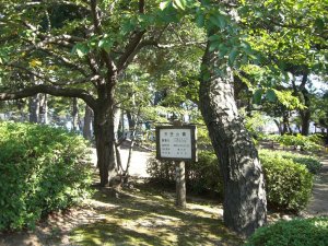 須磨浦公園　市民の森